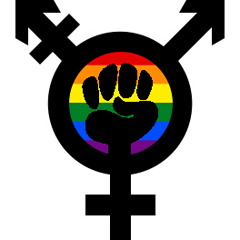 trans-feminist-rainbow-fist_240x240-thumb-240x240-4418